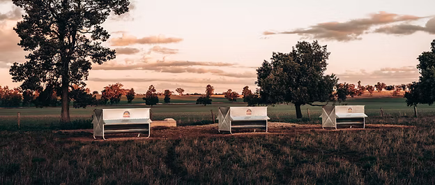 1200 Supplement Feeder