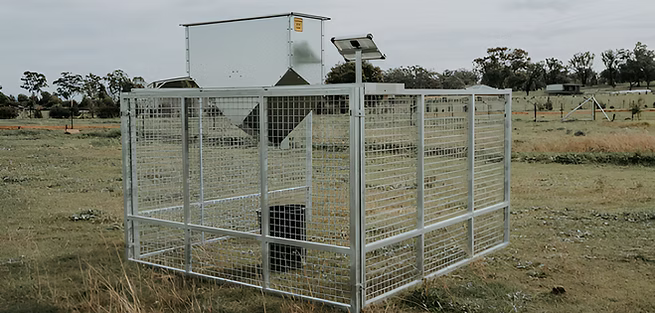 Free Feeding & Bait Hopper