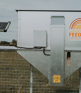 Free Feeding & Bait Hopper